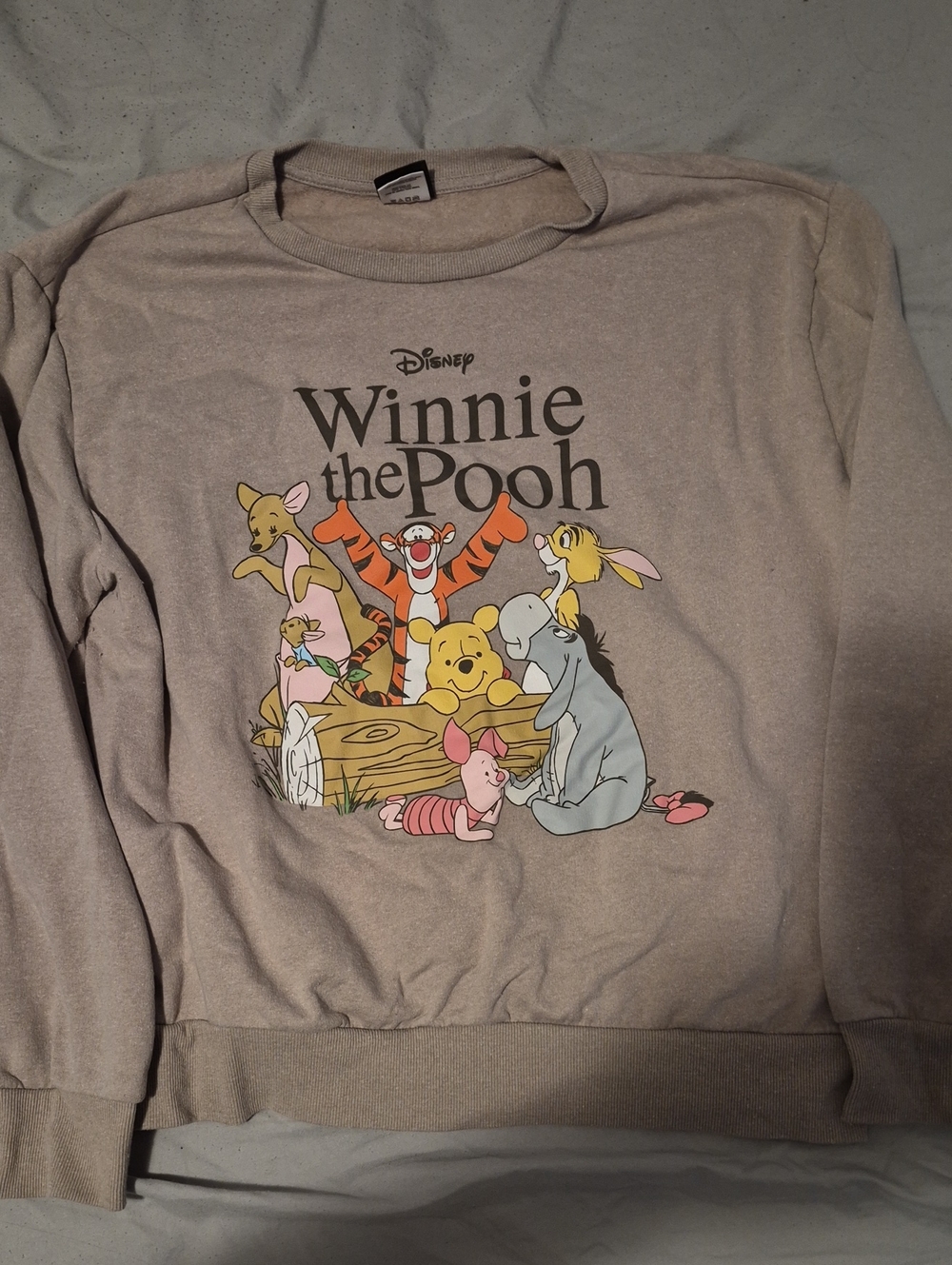 Disney Winnie the Pooh Women's Graphic Sweatshirt - Light Taupe